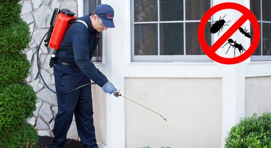 Kent 2 Fare İlaçlama böcek ilaçlama ve haşere kontrolü — ilaclama-tr.com